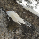 DSCN2238_JPG-1361403839