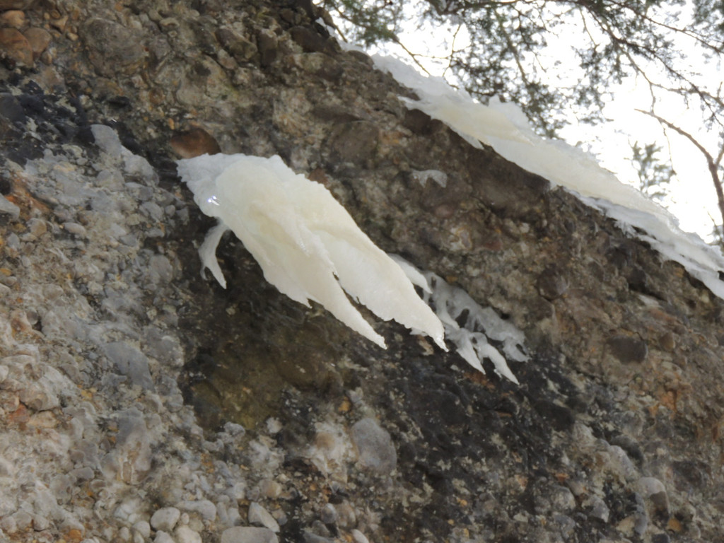 DSCN2238_JPG-1361403839