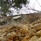 DSCN2240_JPG-1361403843