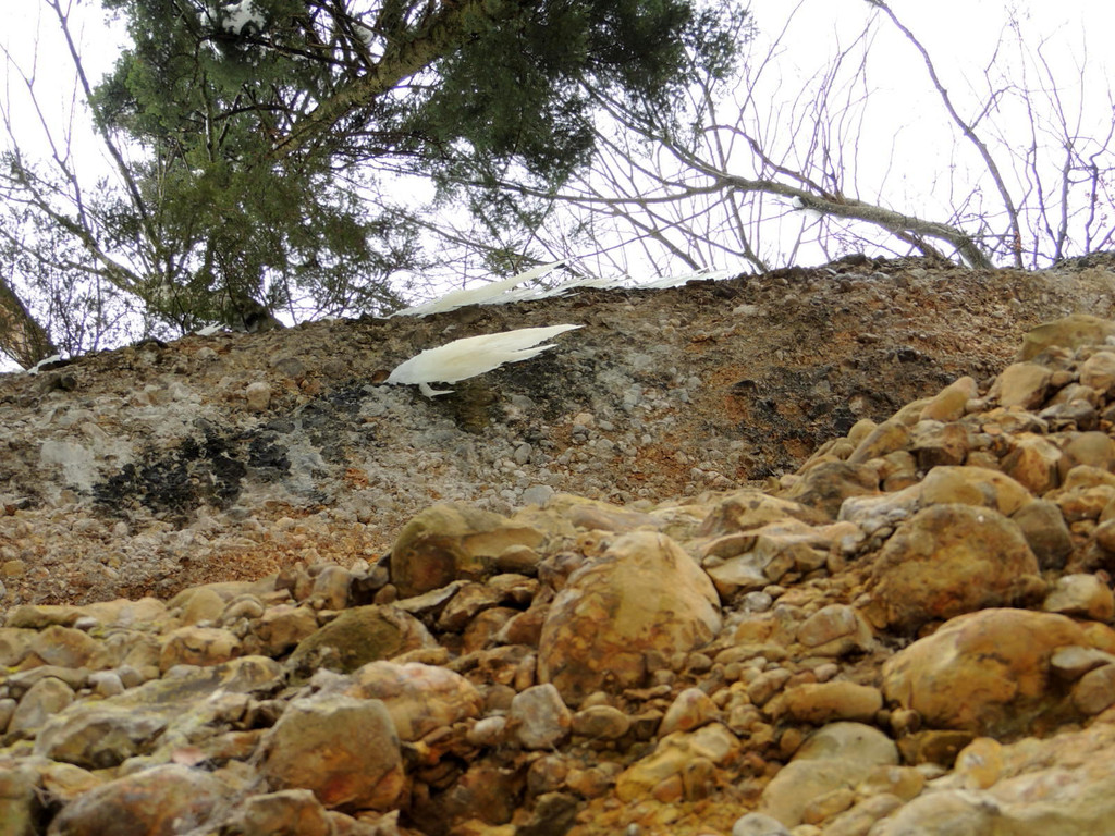 DSCN2240_JPG-1361403843