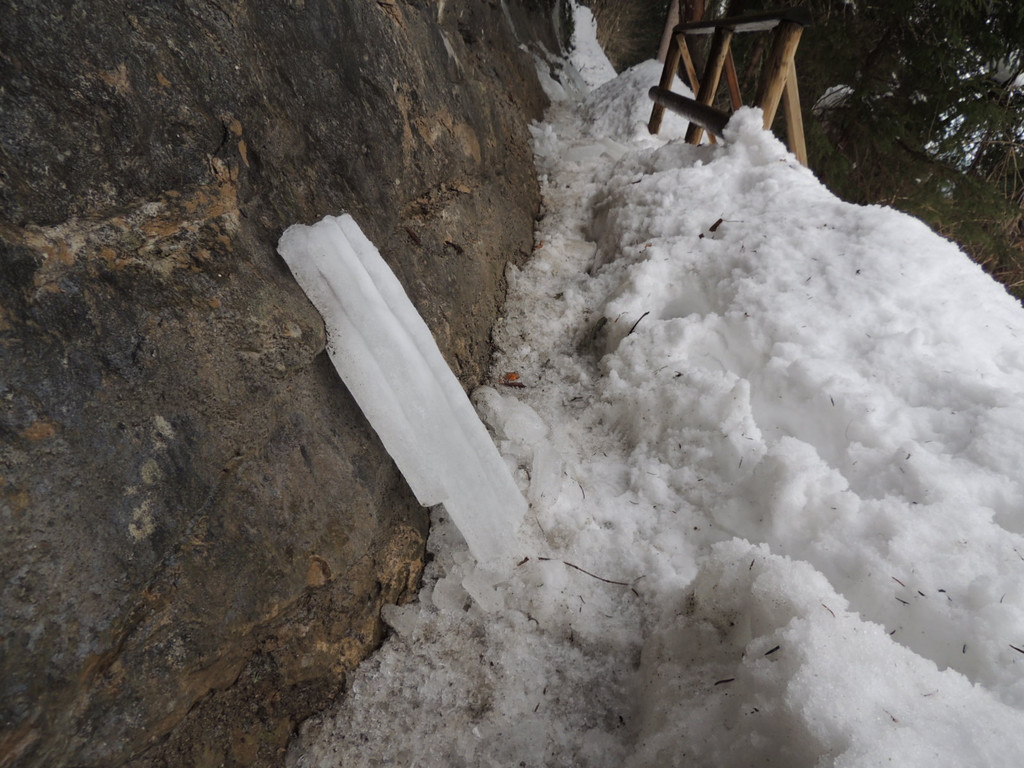 DSCN2251_JPG-1361403854