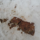 DSCN2246_JPG-1361403847