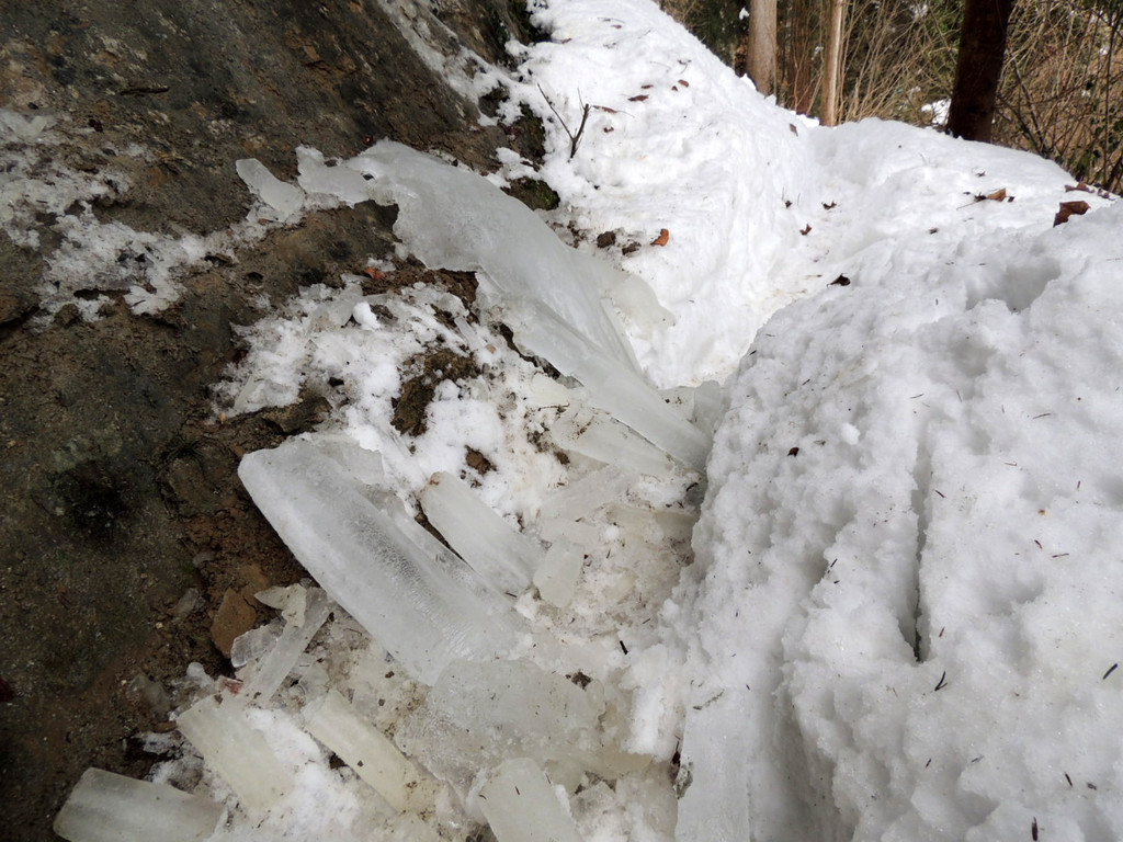 DSCN2255_JPG-1361403858