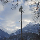 _DSC00050002.JPG