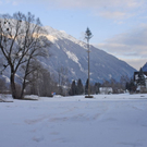 _DSC00400007_1.JPG