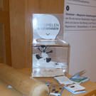 21 Riesennudelholz.JPG