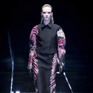IBD1144-20130220.jpg
