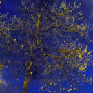 100_4120.jpg