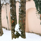 normal_21022013fmt_klessheim_ta_005.JPG