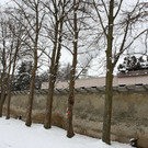 normal_21022013fmt_klessheim_ta_011.JPG