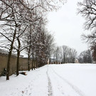 normal_21022013fmt_klessheim_ta_012.JPG