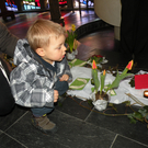 DSCN8619.JPG
