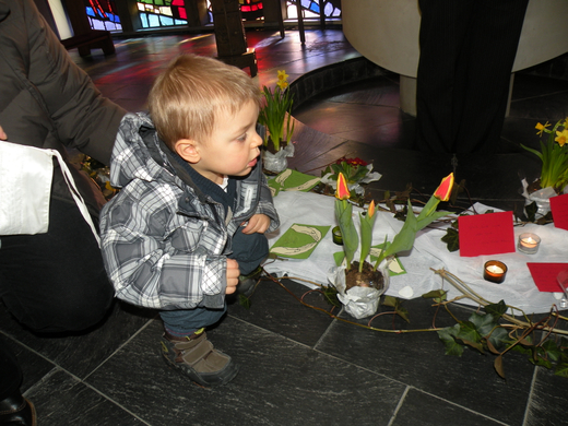 DSCN8619.JPG