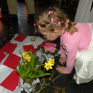 DSCN8621.JPG