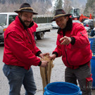 Funken2013_010_jpg-1361562966