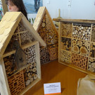 DSC01850_JPG-1361617474