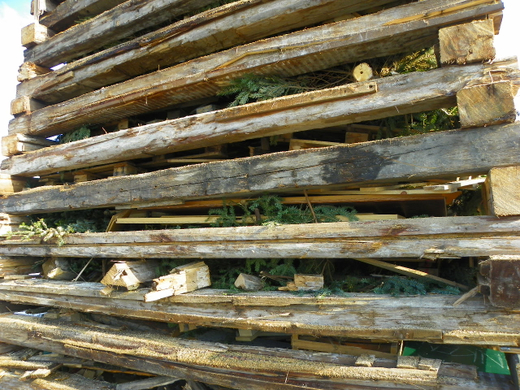 100_3705.jpg