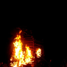DSC_0195.jpg