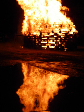 100_4213.jpg