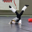 normal_24022013fmt_showdance_ta_019.JPG