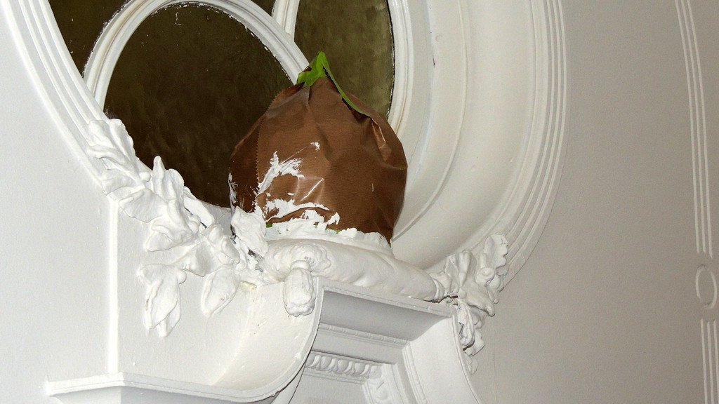 DSCN5798_JPG-1361747166