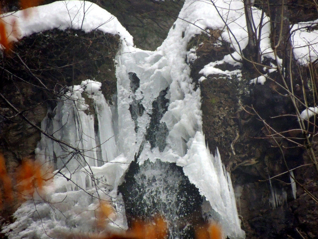 DSCN1219_JPG-1361747452