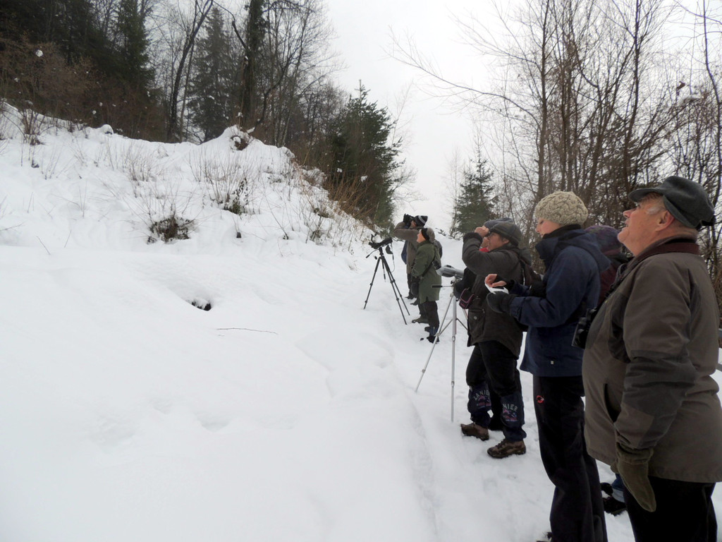 DSCN1214_JPG-1361747443