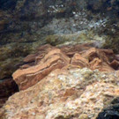 DSCN1261_JPG-1361747457