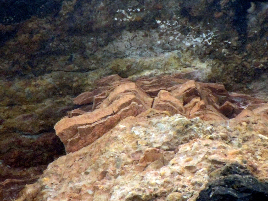 DSCN1261_JPG-1361747457