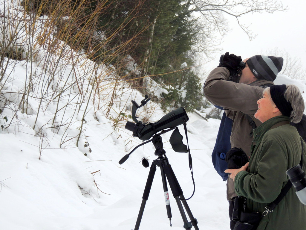 DSCN1216_JPG-1361747447