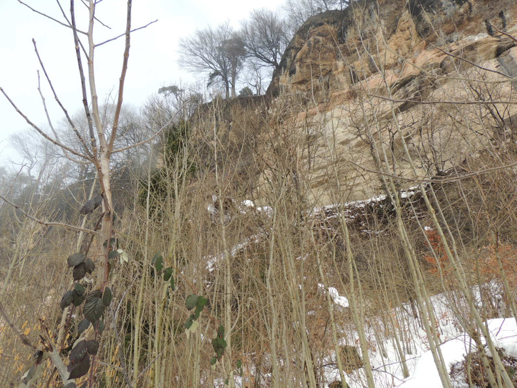 DSCN1407_JPG-1361747460