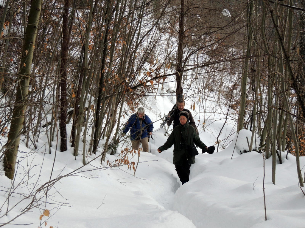 DSCN1425_JPG-1361747469