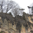 DSCN1439_JPG-1361747472