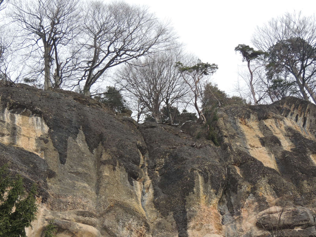 DSCN1439_JPG-1361747472