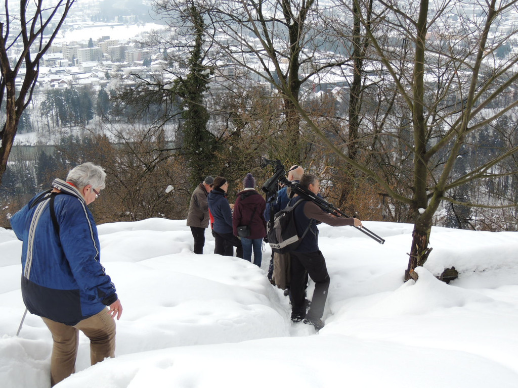 DSCN1494_JPG-1361747476