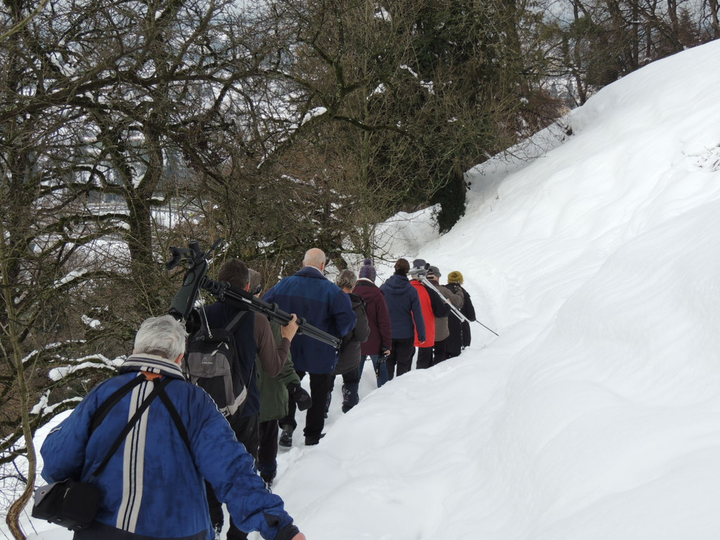 DSCN1508_JPG-1361747480