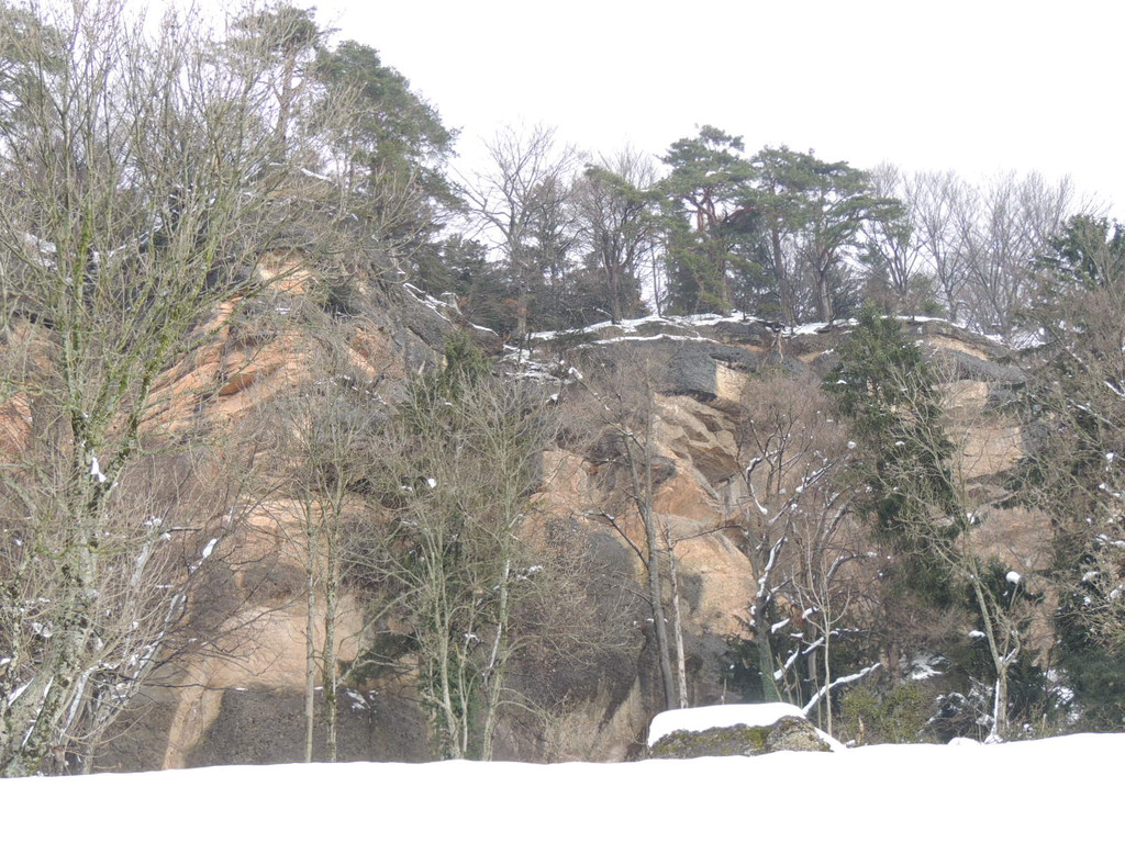 DSCN1509_JPG-1361747484