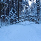 DSCN0989_JPG-1361748742