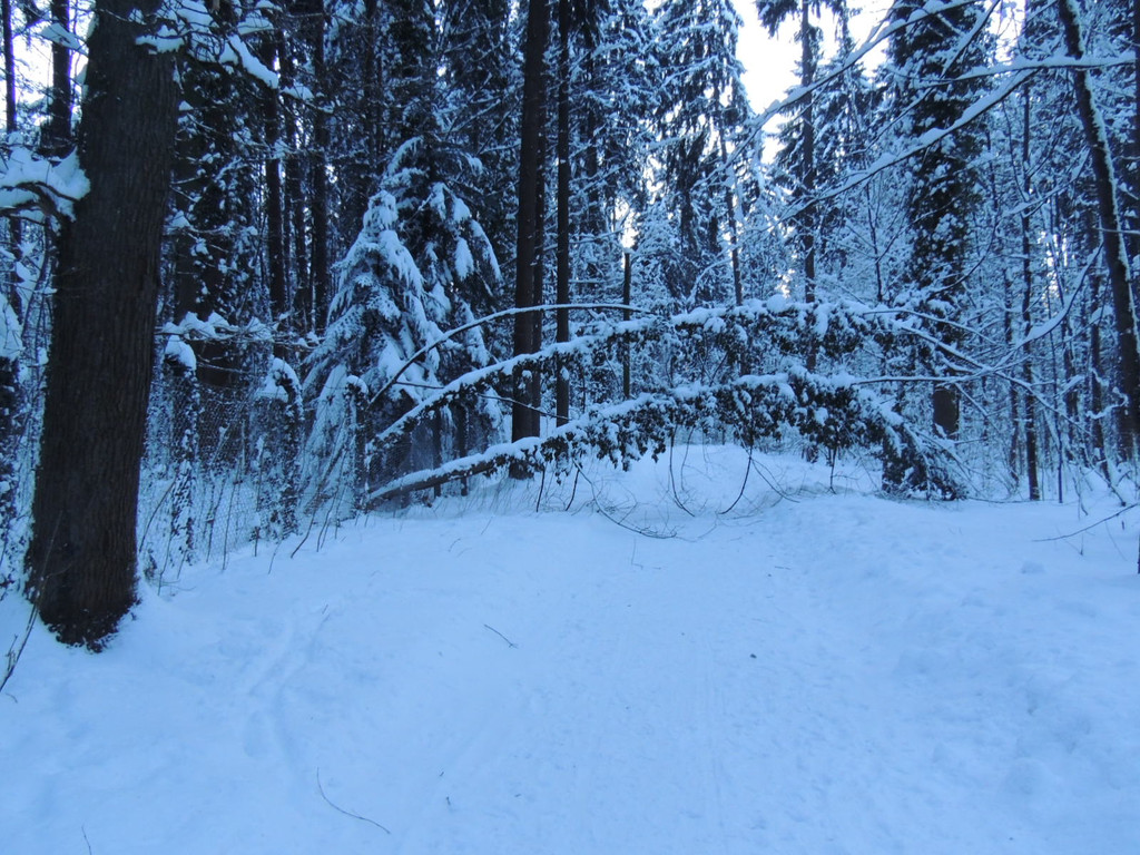 DSCN0989_JPG-1361748742