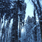 DSCN0991_JPG-1361748745