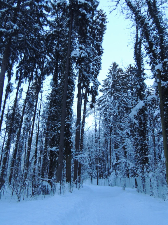 DSCN0991_JPG-1361748745