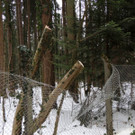 DSCN3389_JPG-1361748768