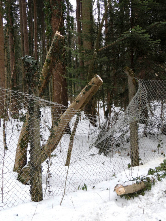 DSCN3389_JPG-1361748768