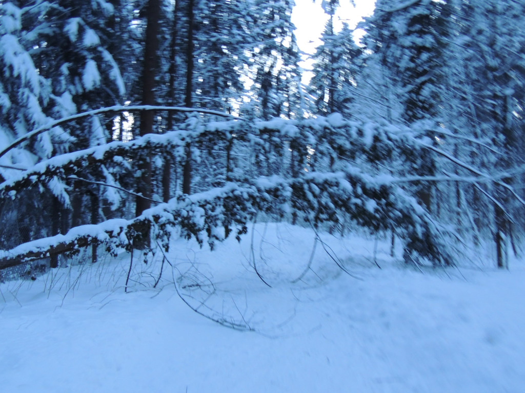 DSCN0992_JPG-1361748749