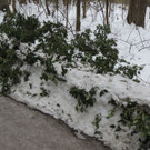 DSCN3390_JPG-1361748772