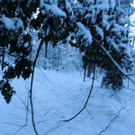 DSCN0994_JPG-1361748753