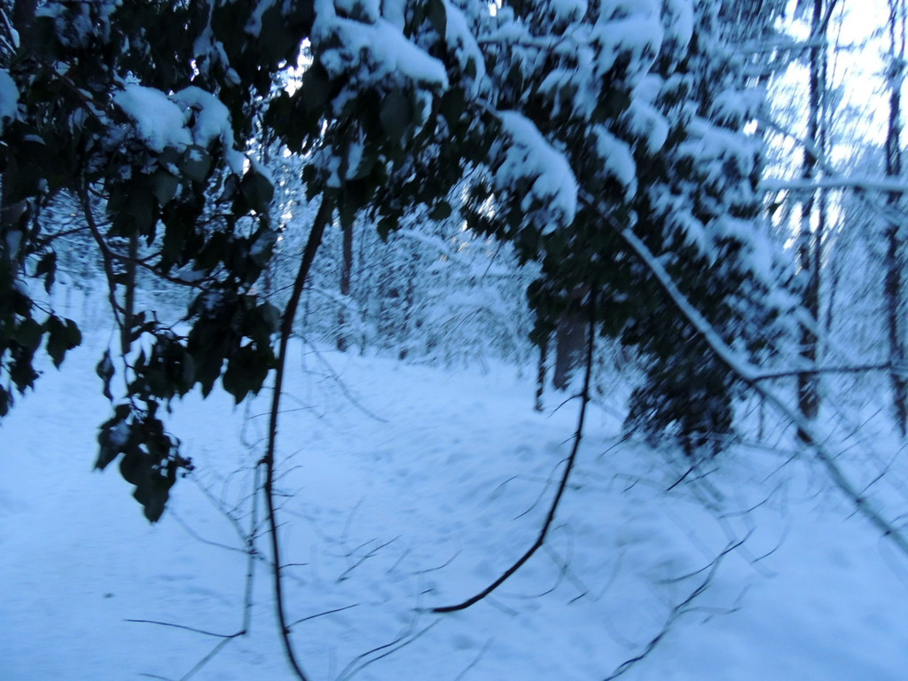 DSCN0994_JPG-1361748753