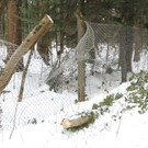 DSCN3388_JPG-1361748765