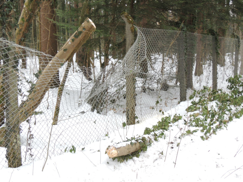 DSCN3388_JPG-1361748765