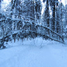 DSCN0995_JPG-1361748757